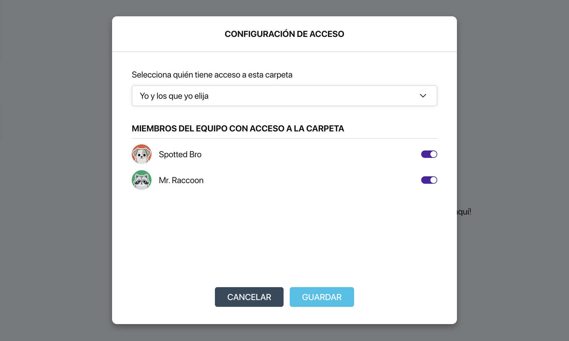 Ventana de configuración de acceso a la carpeta de Pollsar con el desplegable de nivel de acceso y los interruptores de los miembros del equipo